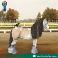 Horse Color:White Spotted Buckskin Dun 