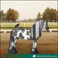 Horse Color:White Spotted Grullo 