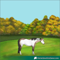 Horse Color:Brown Dun Frame