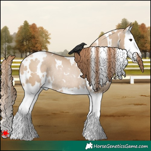 Horse Color:White Spotted Grullo Pearl Splash Rabicano 