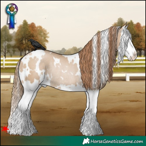 Horse Color:White Spotted Grullo Pearl Splash Rabicano 