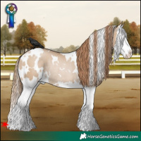 Horse Color:White Spotted Grullo Pearl Splash Rabicano