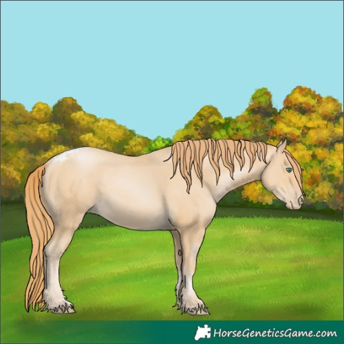 Horse Color:Smoky Black Pearl Tobiano 