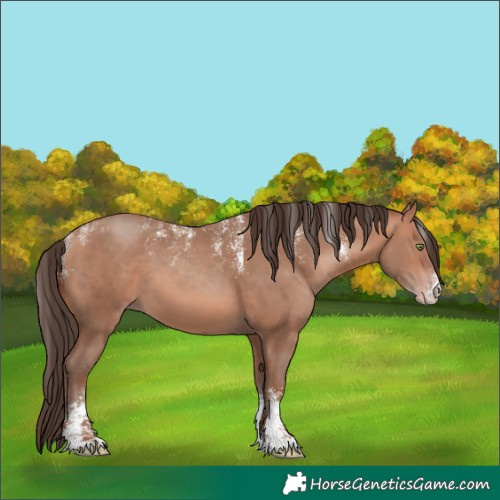 Horse Color:Powder White Amber Champagne 
