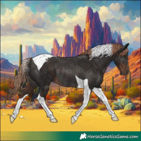 Horse Color:Liver Chestnut Tobiano Rabicano 