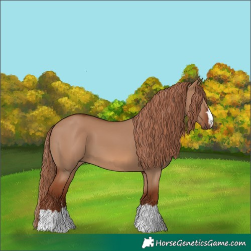 Horse Color:Red Dun