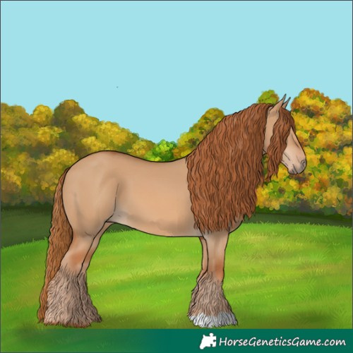 Horse Color:Red Dun 