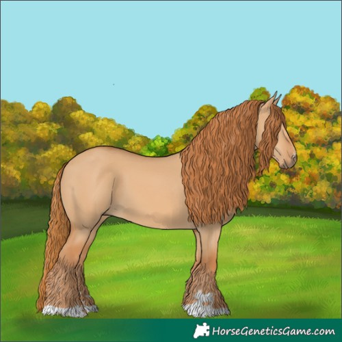 Horse Color:Red Dun 