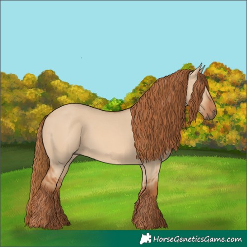 Horse Color:Red Dun 