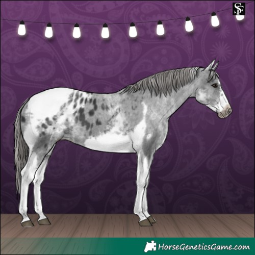 Horse Color:White Spotted Black Splash Tobiano Frame Blanket 