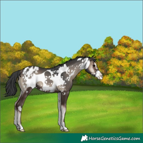 Horse Color:Blue Onyx Frame Blanket 