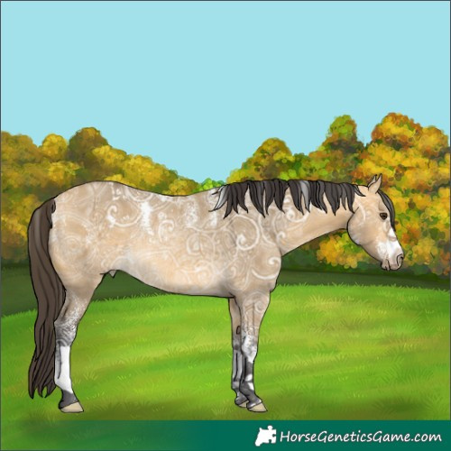Horse Color:Powder White Buckskin Ice Dun Rabicano