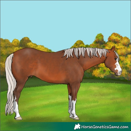 Horse Color:Silver Brown