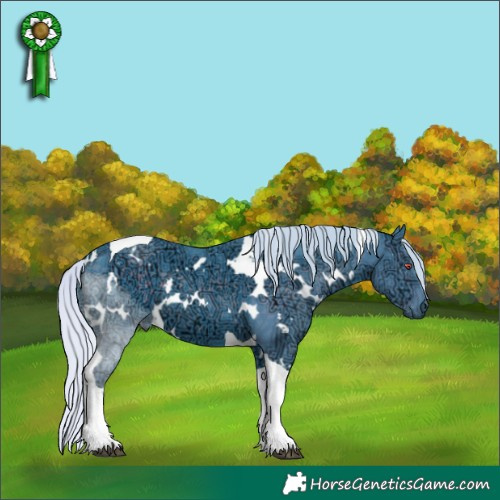 Horse Color:Watercolor White Spotted Silver Black Chinchilla Ice Tobiano 