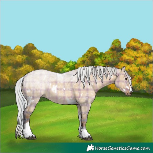 Horse Color:Plaid  White Spotted Silver Bay Ice Dun Tobiano 