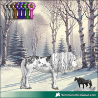 Horse Color:White Spotted Silver Smoky Black Chinchilla Splash 