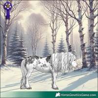 Horse Color:White Spotted Silver Smoky Black Chinchilla Splash 