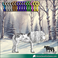 Horse Color:White Spotted Silver Smoky Black Chinchilla Splash 