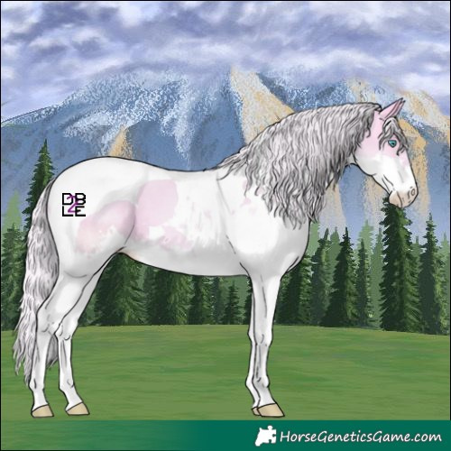 Horse Color:Watercolor Silver Buckskin Pearl Dun Splash Tobiano 