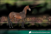 Horse Color:Bay Frame