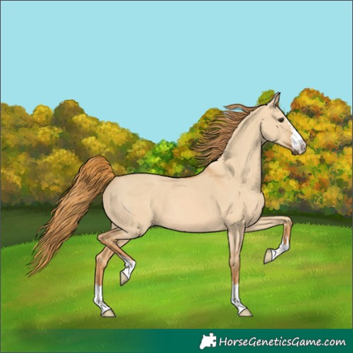 Horse Color:Red Dun 
