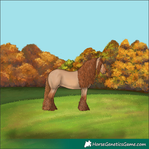 Horse Color:Red Dun 