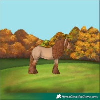 Horse Color:Red Dun