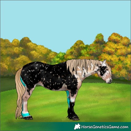 Horse Color:Powder White Void Red Onyx Ice Tobiano Near Leopard Rabicano 