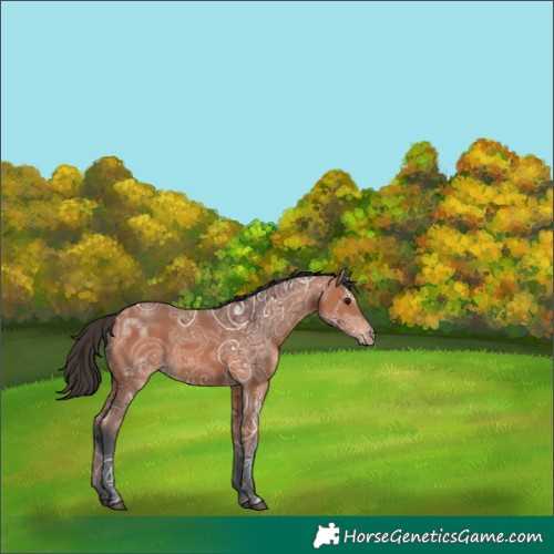 Horse Color:Void Bay Ice 