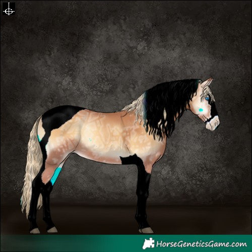Horse Color:Red Onyx Ice Sabino Splash Tobiano Rabicano 