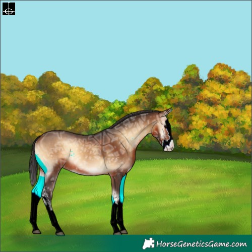 Horse Color:Brown Ice Onyx Sabino Splash Rabicano
