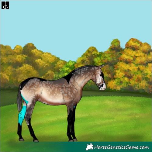 Horse Color:Brown Ice Onyx Splash Tobiano Appaloosa 
