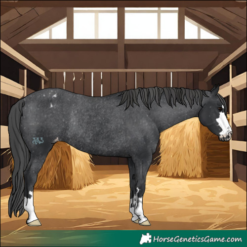 Horse Color:Black Varnish Rabicano 