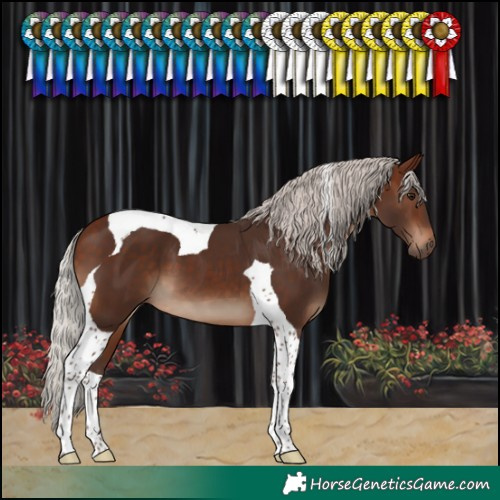 Horse Color:Silver Brown Tobiano 