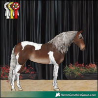 Horse Color:Silver Brown Tobiano 