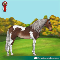 Horse Color:Silver Brown Tobiano 