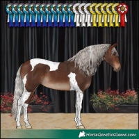 Horse Color:Silver Brown Tobiano
