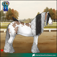 Horse Color:White Spotted Bay Dun Splash Rabicano 