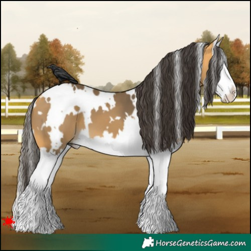 Horse Color:White Spotted Buckskin Splash 