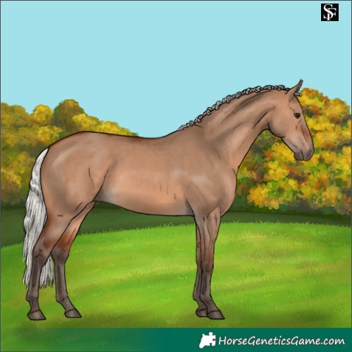 Horse Color:Silver Brown Dun 