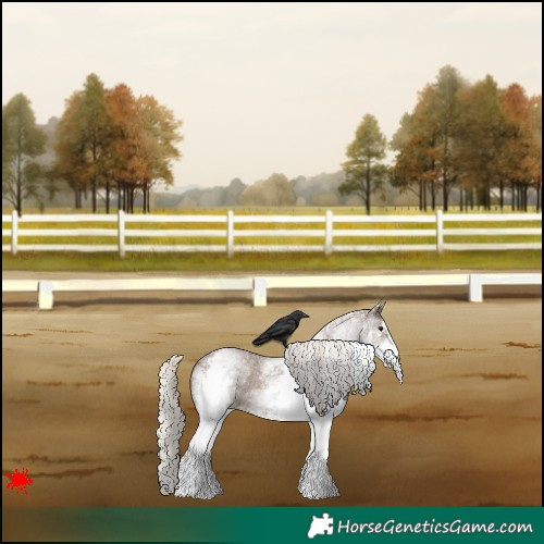 Horse Color:White Spotted Silver Black 
