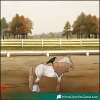 Horse Color:Red Dun Roan 