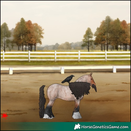 Horse Color:Bay Roan 