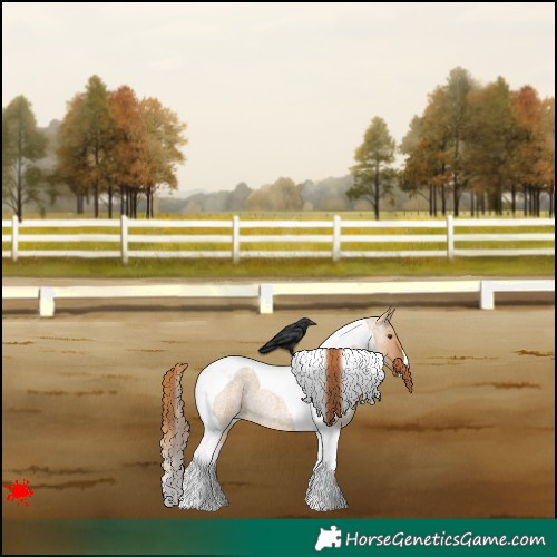 Horse Color:Red Dun Roan Tobiano 