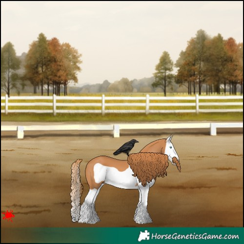 Horse Color:Chestnut Splash Frame 