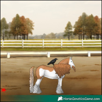 Horse Color:Chestnut Splash Frame 