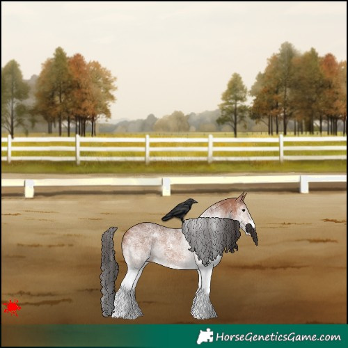 Horse Color:White Spotted Bay 