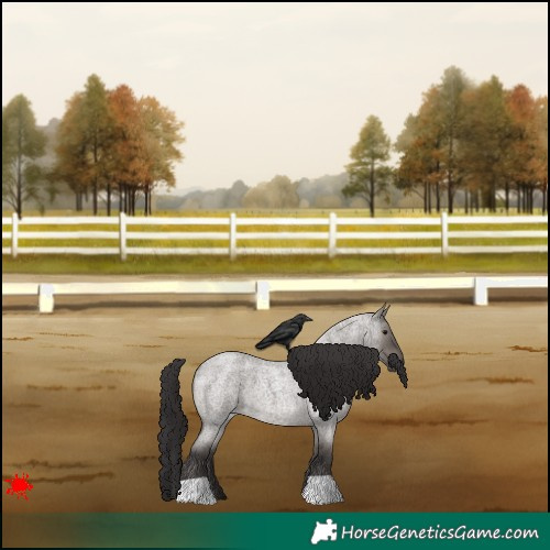 Horse Color:Smoky Grullo Roan 