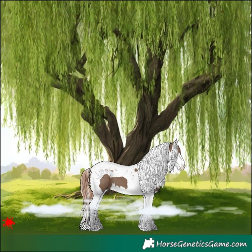 Horse Color:Liver Red Dun Splash Tobiano 