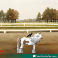 Horse Color:Liver Red Dun Splash Tobiano 
